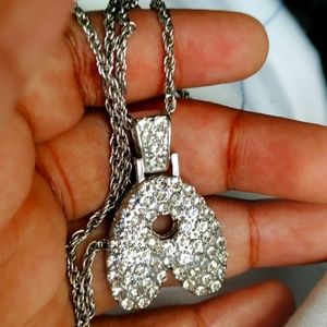 Silver Necklace "NOT REAL"